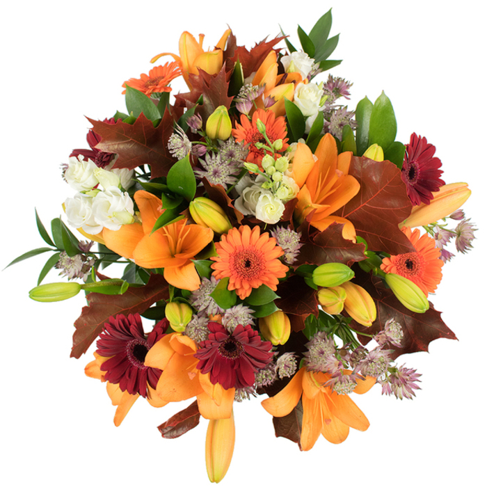 Seen from slightly above on a pure white backdrop, this abundant autumn arrangement feels like a pocket of the season gathered from around Holborn's markets and lanes. At the centre, several large orange Asiatic lilies are in full, dramatic bloom; their trumpet-like petals open wide to reveal smooth, satiny interiors and the delicate curve of their stamens. Bright orange and deep burgundy Gerbera daisies orbit these lilies, their bold, flat faces and sunburst petal structure giving the bouquet an energetic, celebratory heartbeat. Soft, ivory lisianthus flowers create serene interludes, their layered ruffles and pale tones offsetting the richer colours with moments of quiet. Finely textured Astrantia in muted mauve and lavender provides an airy, star-shaped filler that adds contrast and a lacy sophistication. Large, reddish-brown oak-style leaves are artfully inserted to echo fallen foliage - their lobed silhouettes and toasted tones evoke the hedgerows and pavement leaves beyond Leather Lane market and along Gray's Inn Road. Fresh green foliage and slender stems provide structure, thread-like veins and glossy surfaces catching the light to give the composition depth and movement. Several tight lily buds, shaded soft green to pale orange, promise future bloom and a narrative of unfolding time. Crafted with the care of a local florist, this dense, tightly packed bouquet radiates warmth and abundance: ideal for Thanksgiving centrepieces, a harvest-season display in a Holborn flat, or a thoughtful gift picked up or delivered from Flowers Holborn to nearby streets and offices.